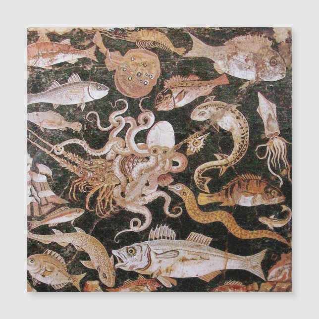 POMPEII-INSAMLING/OCEAN-HAVSLIVSCENE (Framsida)