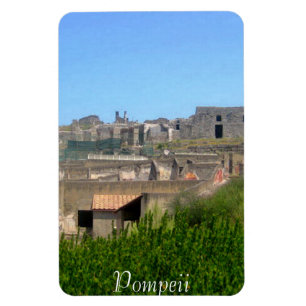 Pompeii italien magnet