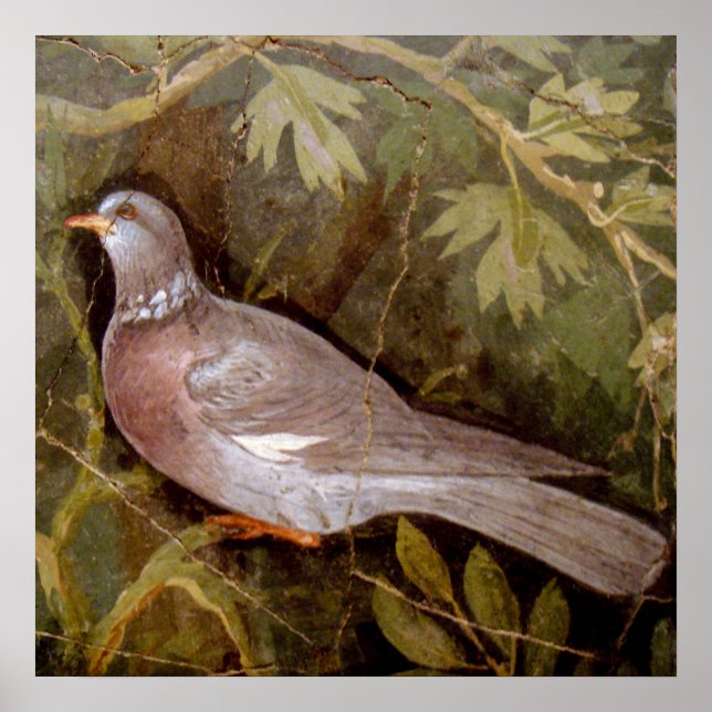 POMPEII-SAMLING/DOVE I GARDEN POSTER (Framsidan)