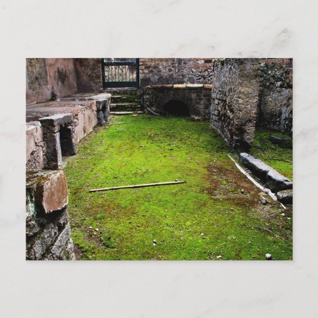 Pompeji - Ruins of a House Vykort (Framsida)