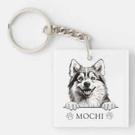 Pomsky Hund Hand Teckning Personlig
