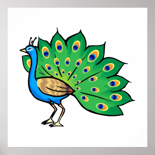 Ponce Peacock Poster (Framsidan)