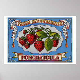 Ponchatoula jordgubbar, LA Poster