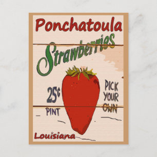 Ponchatoula Strawbär Card Vykort