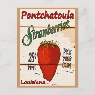 Ponchatoula Strawbär Card Vykort