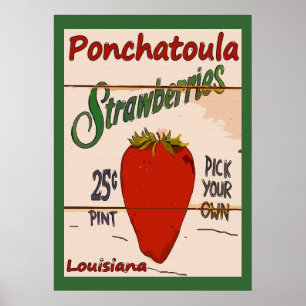 Ponchatoula Strawbär-tecken Poster