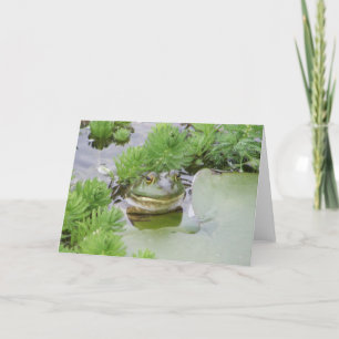 Pond Frog Kort