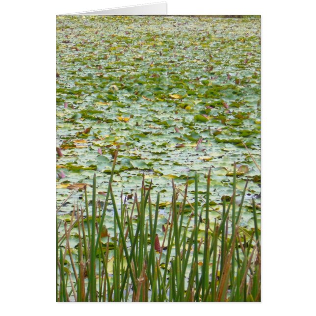 Pond Greenery Hälsningskort (Framsidan)