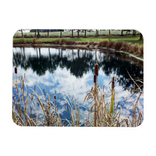 Pond Ligcape Nature Photography Art Magnet