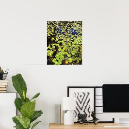 Pond Lily Pads and Reeds Photographic Poster