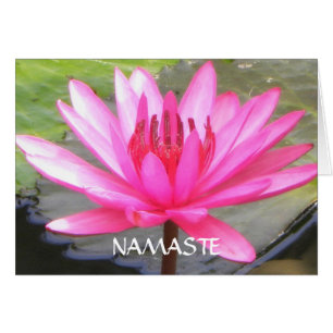 Pond Lotus Tranquilitet l Namaste OBS Kort