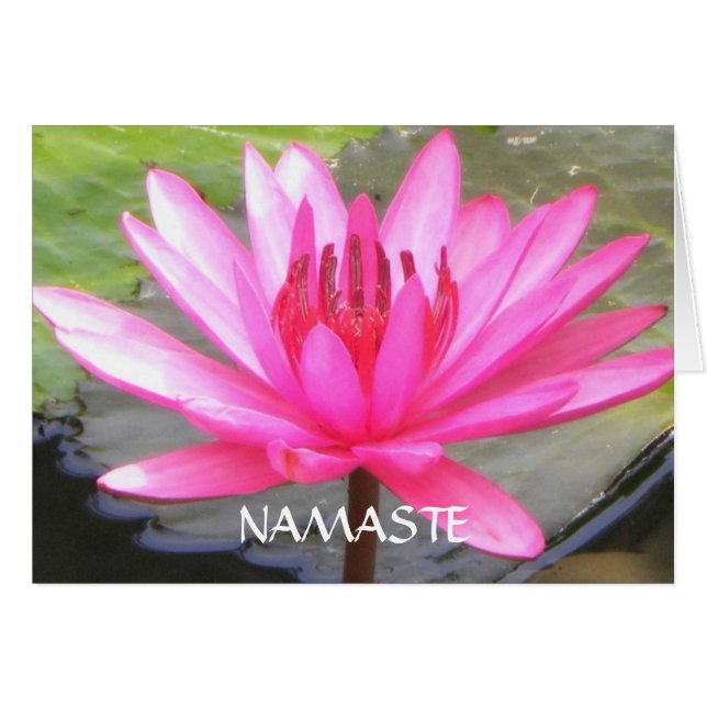 Pond Lotus Tranquilitet l Namaste OBS Kort (Framsidan Horizontal)