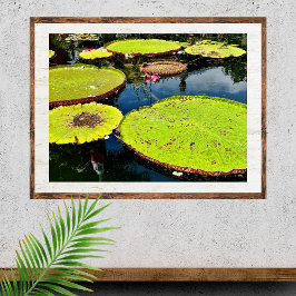 Pond & Lövs Puerto Vallarta Poster