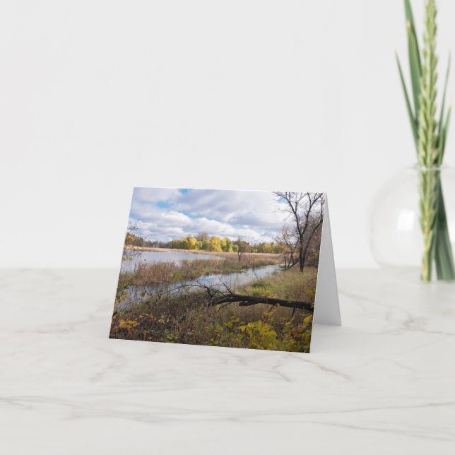Pond Marshes and Woodlands of Refuge Inbjudan (Framsida)