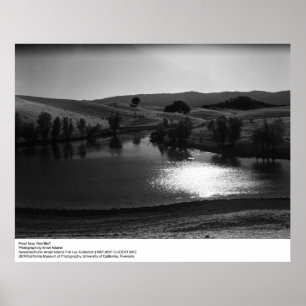 Pond Near Red Bluff av Ansel Adams Poster