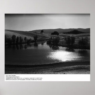 Pond Near Red Bluff av Ansel Adams Poster