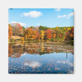 Pond, omgiven av färglöst deducerat Träd Magnet