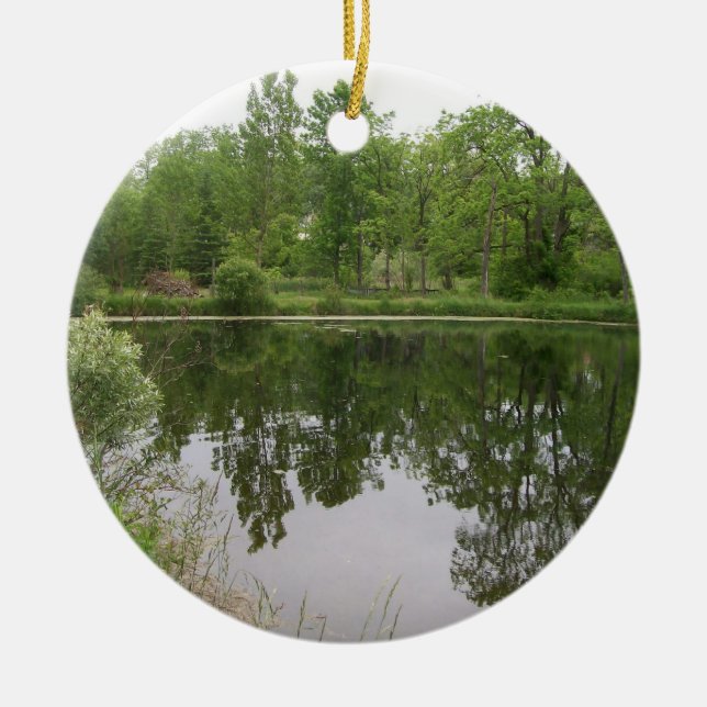 Pond Ornament (Framsidan)