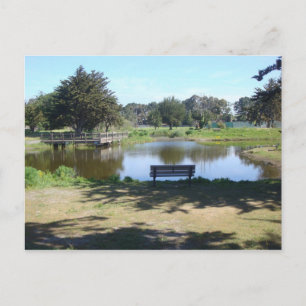 Pond på krabbkudde vykort
