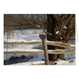 Pond på vinter hälsningskort