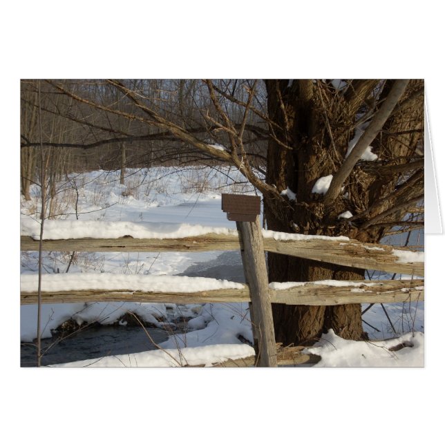 Pond på vinter hälsningskort (Framsidan Horizontal)