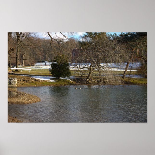 Pond Photo Poster (Framsidan)