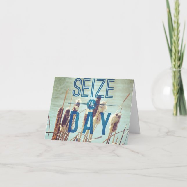 Pond Plantor Sieze dagen Kort (Framsida)