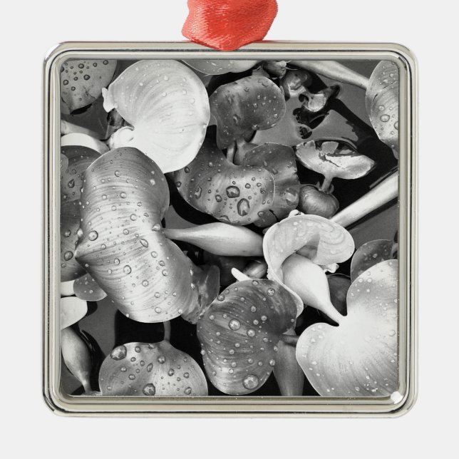 Pond Plants and Black and White Julgransprydnad Metall (Framsidan)