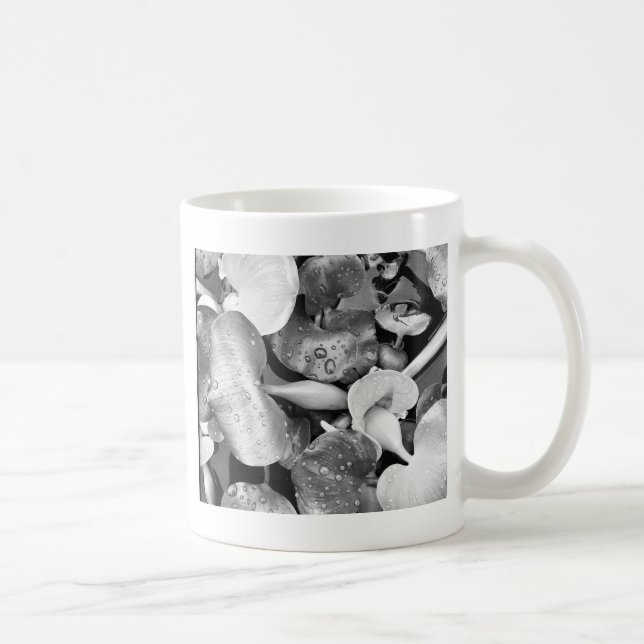 Pond Plants and Black and White Kaffemugg (Höger)