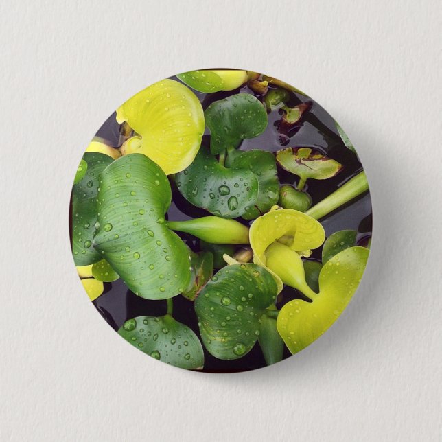 Pond Plants i butiken livsmedel Knapp (Framsida)