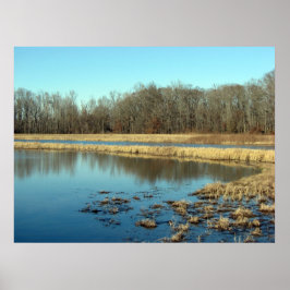 Pond Poster
