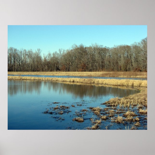 Pond Poster (Framsidan)