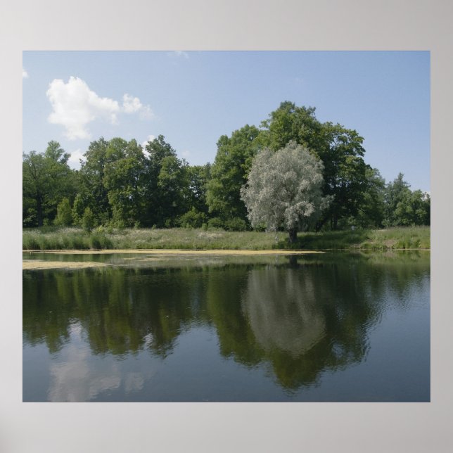 Pond Poster (Framsidan)