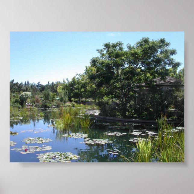 Pond Poster (Framsidan)