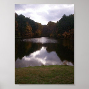 Pond Poster