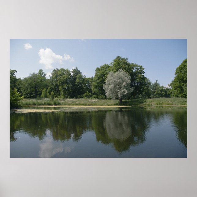 Pond Poster (Framsidan)