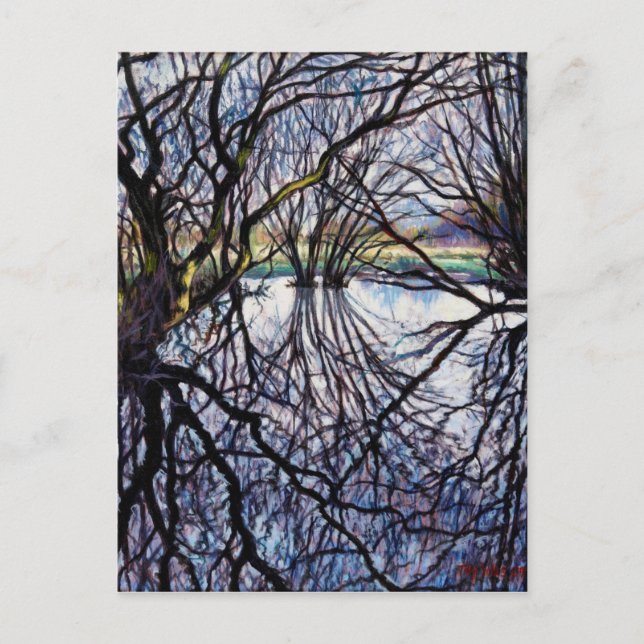 Pond Reflection 2009 Vykort (Framsida)