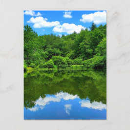 Pond Reflection Vykort