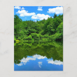 Pond Reflection Vykort