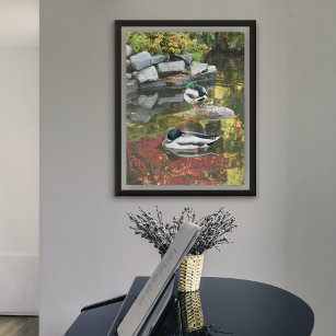 Pond Reflections and Floating Ducks Photographic Poster