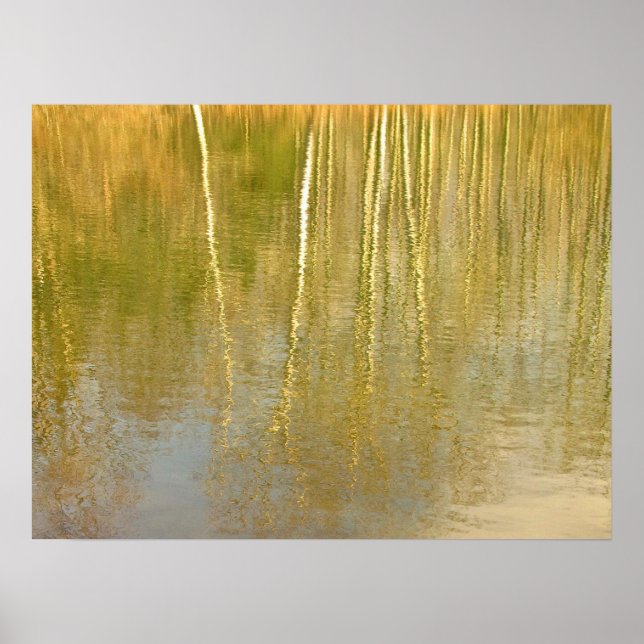 Pond-reflektioner Poster (Framsidan)