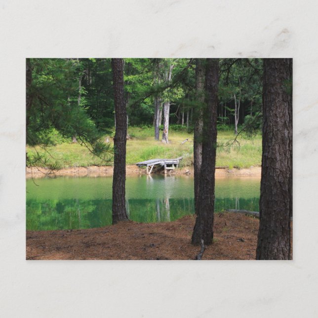 Pond Side Dock Vykort (Framsida)