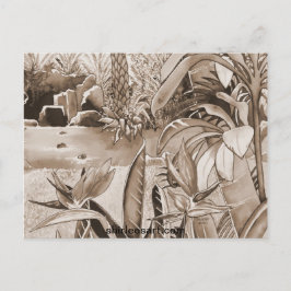 Pond vid ananas plantering vykort