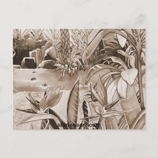 Pond vid ananas plantering vykort (Framsida)