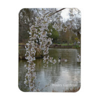 Pond vid RHS Wisley, England