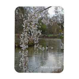 Pond vid RHS Wisley, England Magnet