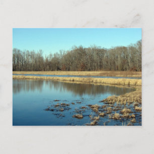 Pond Vykort