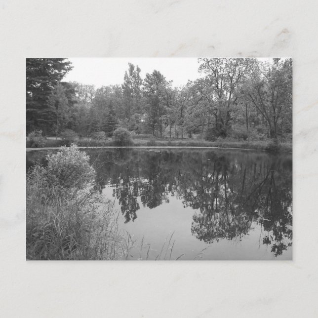 Pond-vykort Vykort (Framsida)