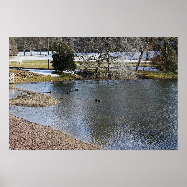 Pond Waterscape Poster (Framsidan)