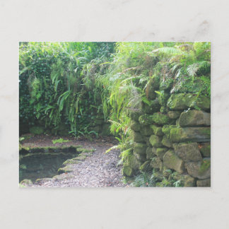 Pond's Grotto Vykort